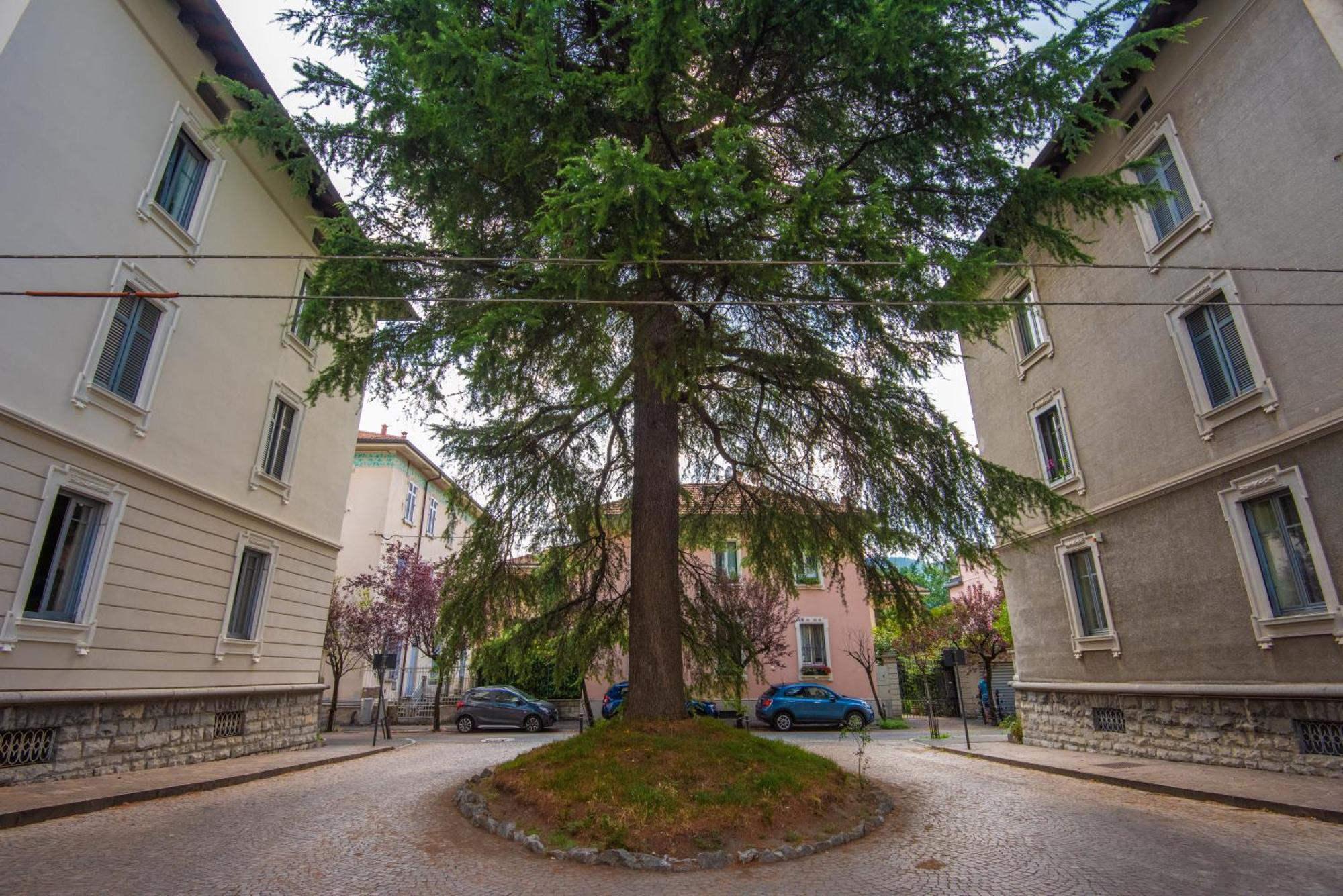 West Park Suite With Parking By Holiday Solutions Como Buitenkant foto